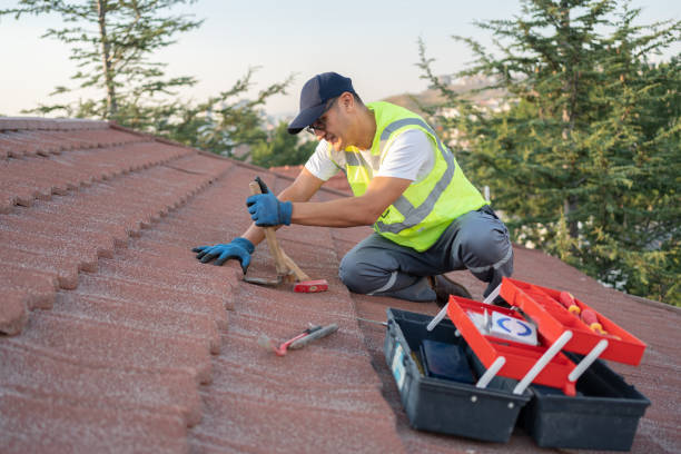 Best Roofing Contractor Near Me  in The Crossings, FL